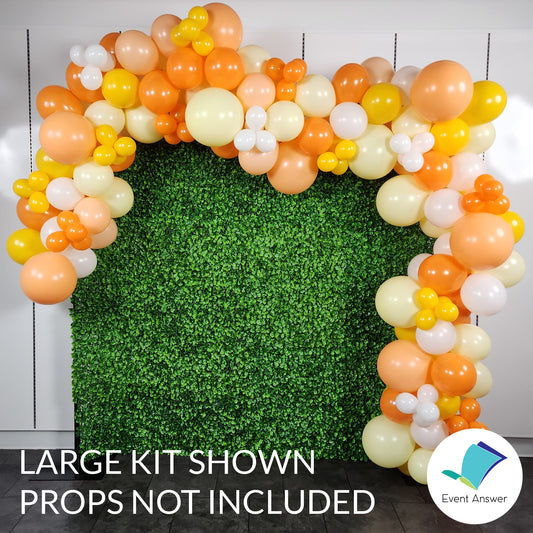 Organic Balloon Garland Kit - Citrus